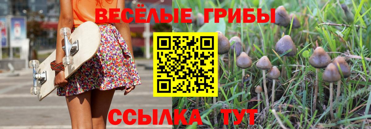 Галлюциногенные грибы GOLDEN TEACHER  купить   Бердск  Вход с VPN 