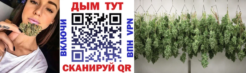 Канабис индика Бердск
