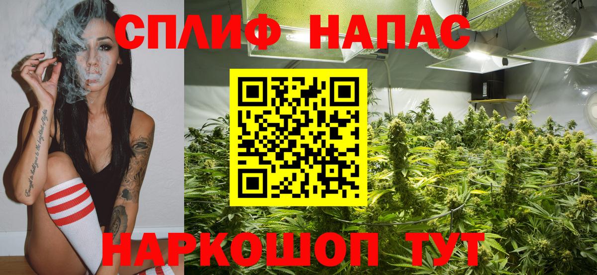Бердск  Марихуана MAZAR  Бошки марихуана White Widow  Марихуана OG Kush  Вход с VPN 